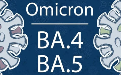 Omicron BA.4.6 makes up nearly 13% of COVID variants circulating in U.S. – CDC